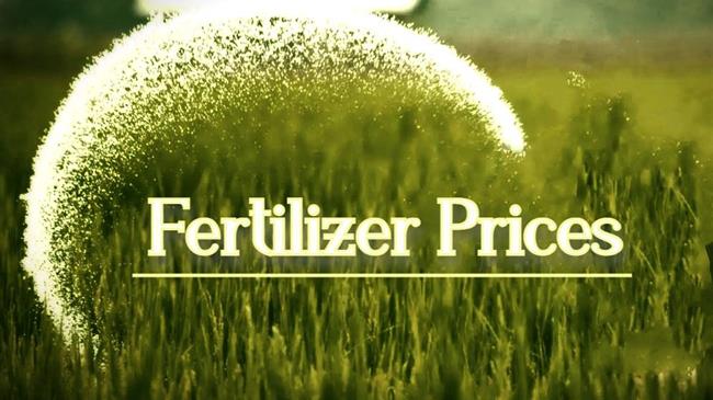 Αγορές λιπασμάτων: Ανοδική τάση στις τιμές, η Κίνα φέρνει αβεβαιότητα