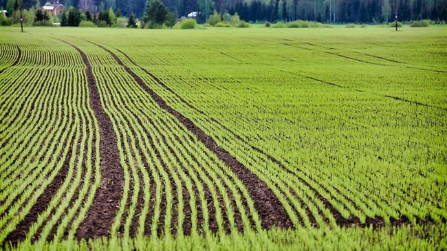 Ουκρανία: Ξεκινάνε οι σπορές σιτηρών του 2024