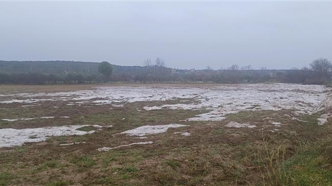 Κλιμάκια του ΕΛΓΑ θα επισκεφτούν τις πληγείσες καλλιέργειες στην Πιερία