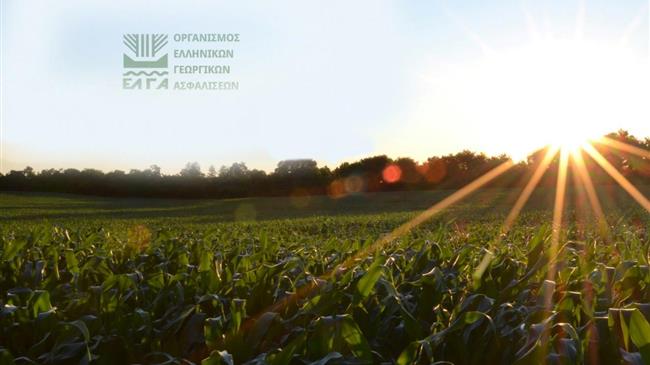 Δεν θα δοθεί παράταση στην καταβολή των ασφαλιστικών εισφορών στον ΕΛΓΑ