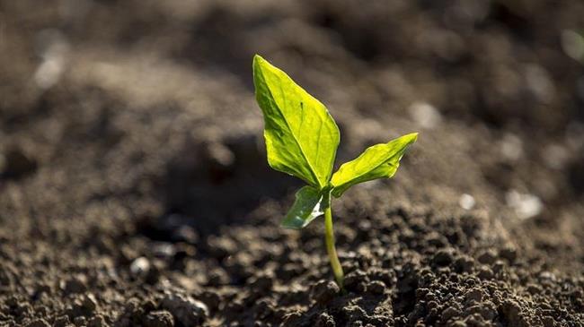 Πελοπόννησος: Εκπαιδευτική ημερίδα για τις νέες τεχνολογίες στη γεωργία και την αγροτική ανάπτυξη