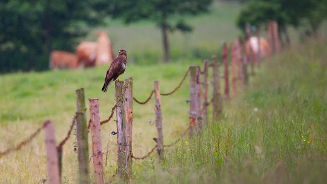 5th ESP Europe Conference in November 2024