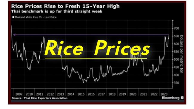 Ρύζι: Παγκοσμίως η τιμή ανεβαίνει… στη Ελλάδα πέφτει
