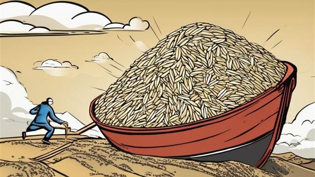 Σιτηρο-τραγικές καταστάσεις: "Τσουνάμι" προσφοράς πνίγει τις τιμές, φέρνοντας "σιτο-μαχία" στην αγορά