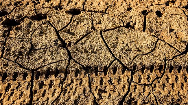 Χωρίς νέες υποχρεώσεις για τους γεωργούς ο πρώτος νόμος της ΕΕ για την υγεία του εδάφους