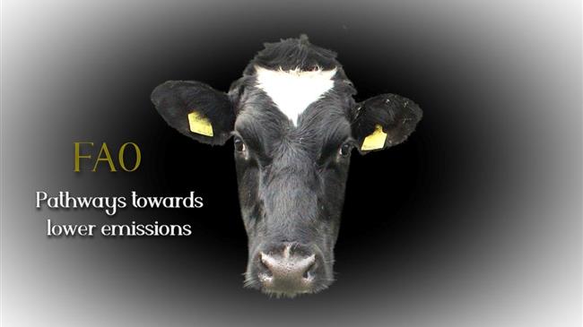 Κτηνοτροφία: Μείωση Εκπομπών έως 50% - ο FAO Δείχνει τον Δρόμο!