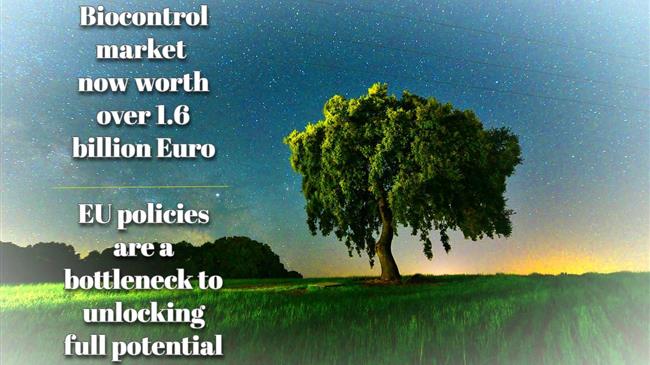 Φυτοφάρμακα ή φυσική προστασία; Η Ευρώπη σε σταυροδρόμι