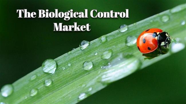 Η αγορά των βιοπροστατευτικών αξίζει σήμερα πάνω από 1,6 δισ. ευρώ