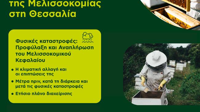 Επανεκκίνηση της Μελισσοκομίας στη Θεσσαλία