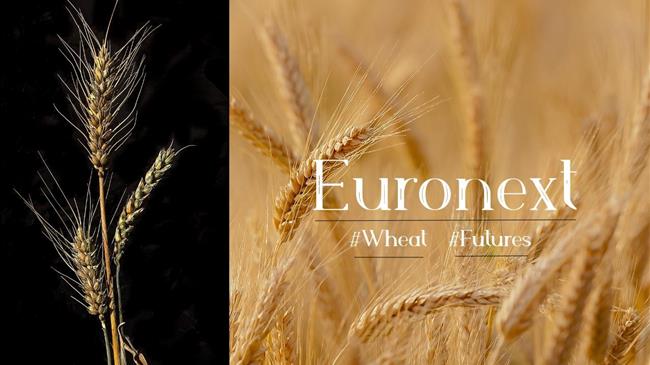 Euronext: Αυξάνονται οι τιμές στο σκληρό σιτάρι