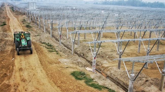 Ιταλικό «ΣΤΟΠ» στην εγκατάσταση ηλιακών συλλεκτών σε γεωργικές εκτάσεις