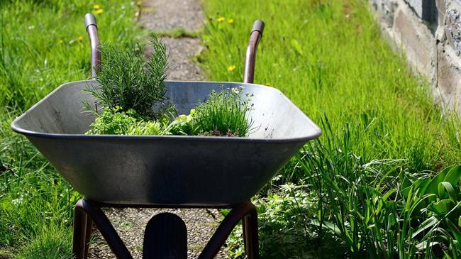 Παράταση προθεσμίας για πυροπροστασία ιδιοκτησιών έως 30 Ιουνίου 2024