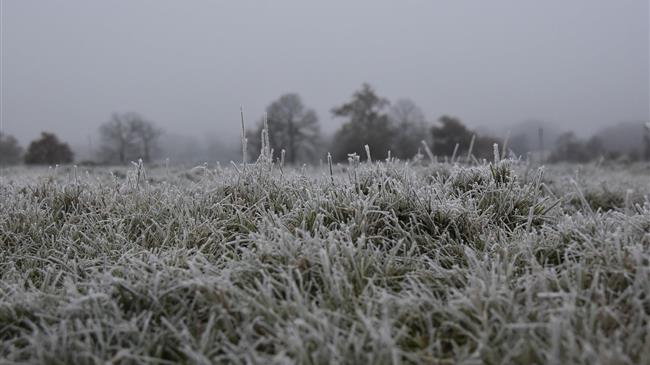 Ρωσία: Οι πρόσφατοι παγετοί κατέστρεψαν 8,3 εκατ. στρέμματα σποράς