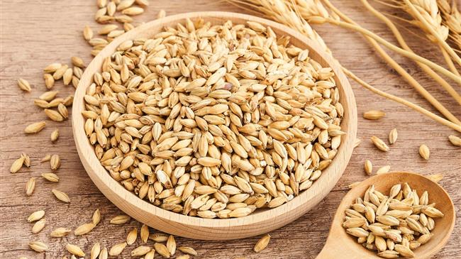 Κόκκαλης: «Η κυβέρνηση εγκαταλείπει τους σιτοπαραγωγούς στη μοίρα τους»