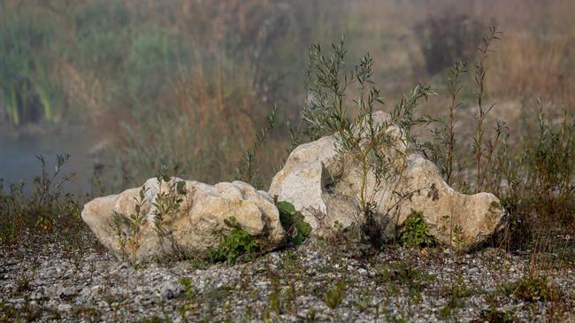 Η Ευρωπαϊκή Εισαγγελία αποκαλύπτει απάτη με αγροτικές επιδοτήσεις στην Κροατία