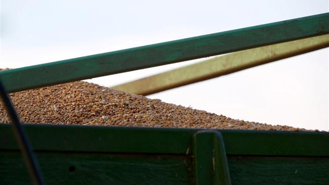 Η Τουρκία μειώνει τις εξαγωγές σκληρού σίτου – Κερδισμένοι Καναδάς και ΗΠΑ