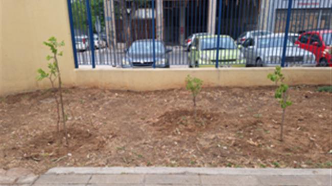 ΚΕΠΑ: Δενδροφύτευση στο Δήμο Πειραιά για την Πρωτοβουλία "75 UN - 75 Trees UNAI SDG7"