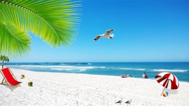 Ρεκόρ παραχωρήσεων τμημάτων παραλιών φέτος