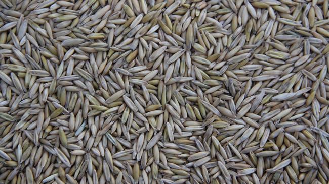 Ανεβαίνει η τιμή σε σιτάρι, καλαμπόκι και σόγια