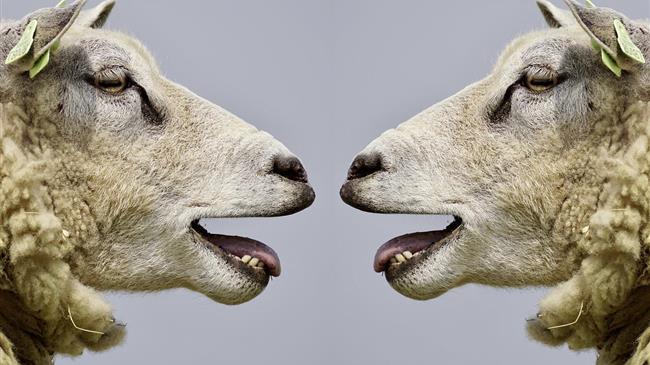 Greece: EPPO brings 100 suspects to court for €2.9 million fraud involving agricultural funds