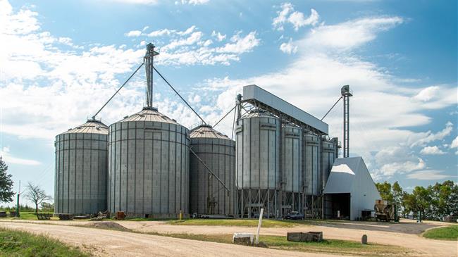 Γιατί η Ρωσία επαναφέρει τους ελέγχους στα σιτηρά;