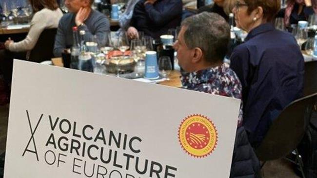 Θετικά αποτελέσματα το πρώτο εξάμηνο του 2024 για την καμπάνια HEVA