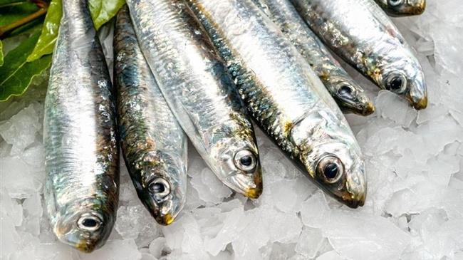 Η "Σαρδέλα Καλλονής" και το "Μέλι Άναμα Ικαρίας", διεκδικούν την αναγνώριση ως ΠΟΠ