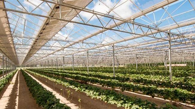 Αγροβολταϊκά: Βοηθώντας τόσο τους αγρότες όσο και το κλίμα