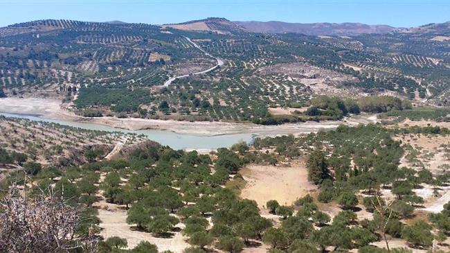 «Mελέτη, Κατασκευή, Χρηματοδότηση, Συντήρηση και Λειτουργία Φράγματος Μιναγιώτικου μέσω ΣΔΙΤ»