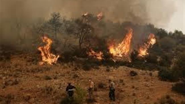 Κεφαλογιάννης: «Κοινοτική συνδρομή για την αποκατάσταση του φυσικού πλούτου της Αττικής»