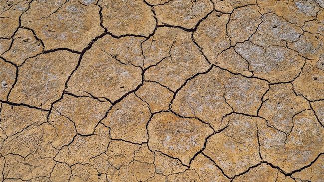 Οι καλλιέργειες «υποφέρουν» από τη λειψυδρία