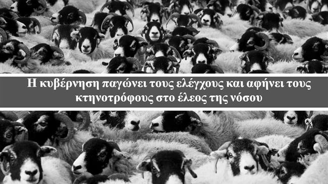 Η κυβέρνηση παγώνει τους ελέγχους και αφήνει τους κτηνοτρόφους στο έλεος της νόσου