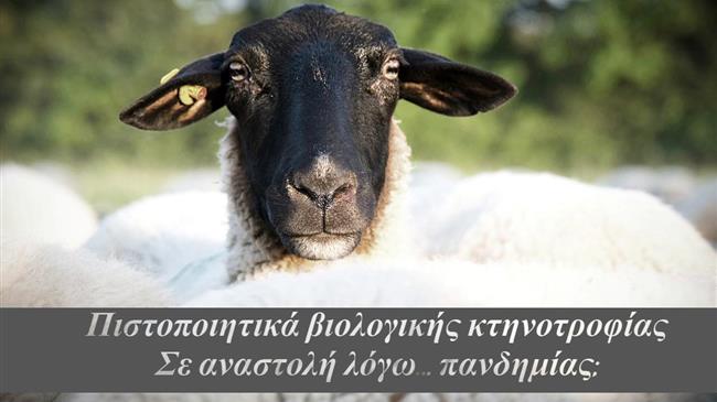 Πιστοποιητικά βιολογικής κτηνοτροφίας! Σε αναστολή λόγω... πανδημίας;