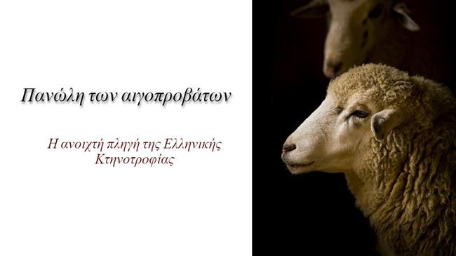 Αιτωλοακαρνανία και Ηλεία : Η πανώλη δεν γνωρίζει σύνορα