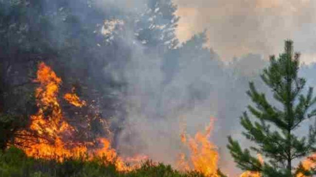 Δασικές Πυρκαγιές στην Περιφέρεια Αττικής: Αιτίες, Επιπτώσεις και Διαχείριση
