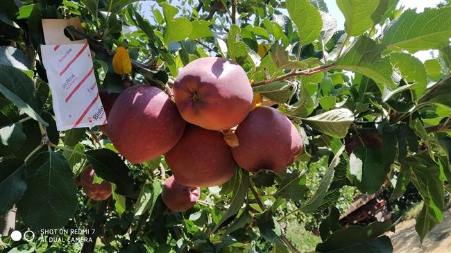 Κομφούζιο: Παράταση προθεσμίας για τη δράση με νέα καταληκτική ημερομηνία