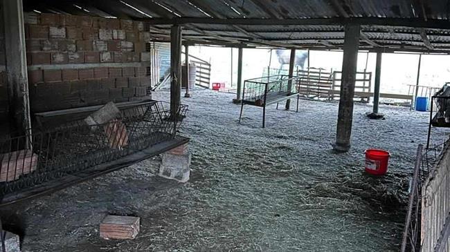 Σταρακά: «Νεκροταφεία οι σταβλικές εγκαταστάσεις.Θα δώσουμε αγώνα για τις αποζημιώσεις των παραγωγών όλης της χώρας»