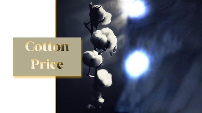 Βαμβάκι: Απογοητευμένοι οι αγρότες από τις χαμηλές τιμές