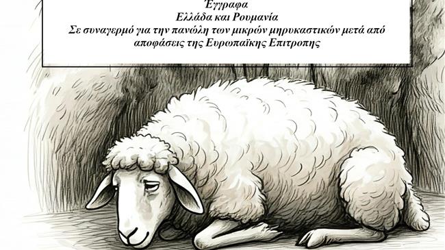 Ελλάδα και Ρουμανία: Σε συναγερμό για την πανώλη και την ευλογιά μετά από αποφάσεις της ΕE