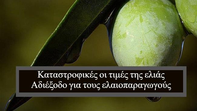 Καταστροφικές οι τιμές της ελιάς: Αδιέξοδο για τους ελαιοπαραγωγούς