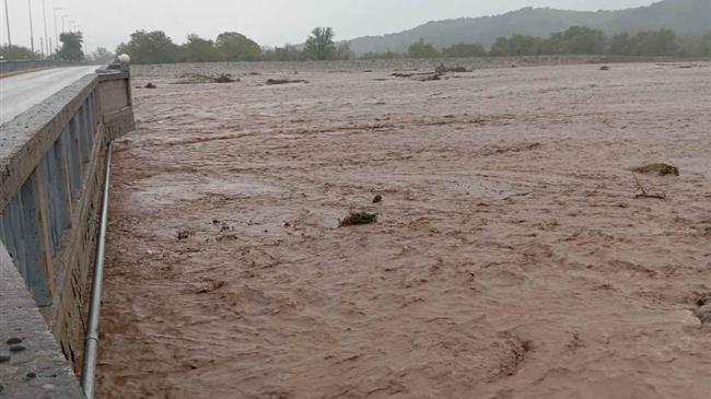 "Τεχνικό άρθρο για την γέφυρα "Αμπελίων, Καλαμπάκας, Τρικάλων""