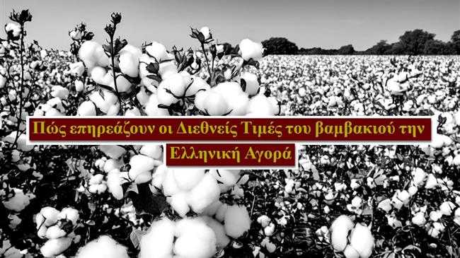 Βαμβάκι: Οι τρέχουσες τιμές και οι παράγοντες που τις επηρεάζουν
