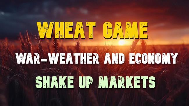 Σιτάρι σε ταραγμένες θάλασσες: Πόλεμος- καιρός και οικονομία αναταράσσουν τις αγορές