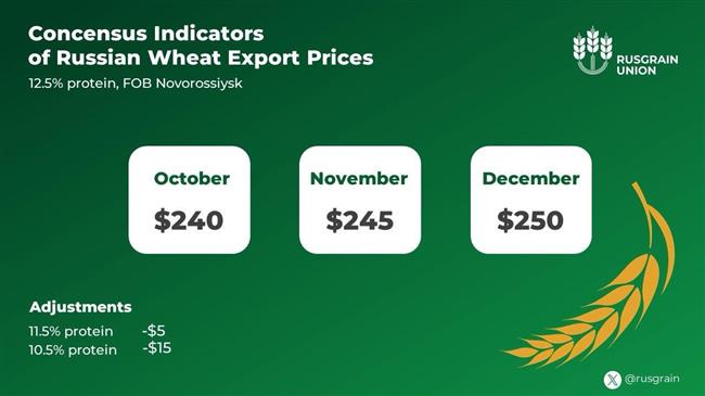 Οι Ρώσοι παραγωγοί σιταριού απαντούν στις προκλήσεις με νέους δείκτες