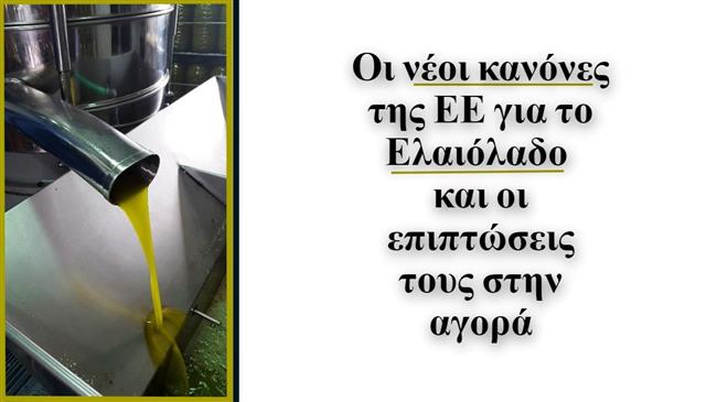 Νέοι ευρωπαϊκοί κανόνες για το Ελαιόλαδο: Τι αλλάζει για τους παραγωγούς και τις επιχειρήσεις;