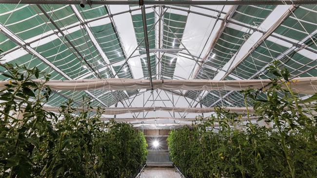 Διεθνές Συνέδριο για τα Αγροβολταϊκά και τις εφαρμογές τους στη Γεωργία