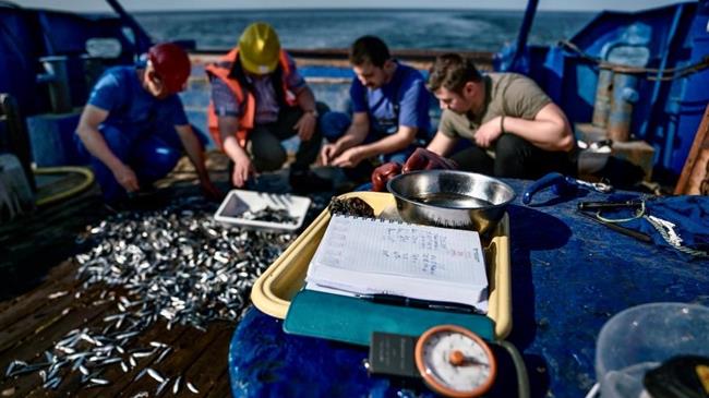 FAO-GFCM: Happy Black Sea day - Supporting sustainable fisheries and aquaculture in the Black Sea