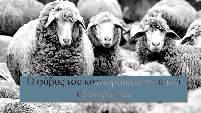 Ο φόβος του καταρροϊκού πυρετού επανέρχεται