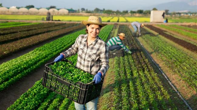 Αυγενάκης για την Παγκόσμια Ημέρα της Γυναίκας