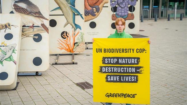 Η Διάσκεψη για τη βιοποικιλότητα του ΟΗΕ (COP16) είναι μία ευκαιρία για την αναγέννηση της φύσης